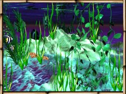 aquarium