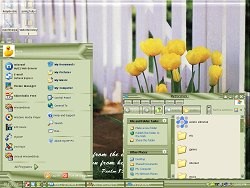 XP Theme